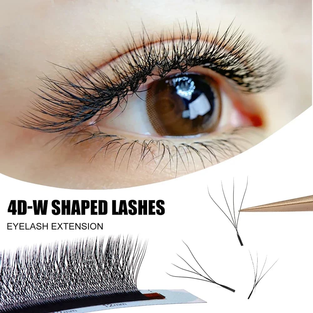 Abanicos preformados 4D en forma W, grosor 0.07mm, curvatura D