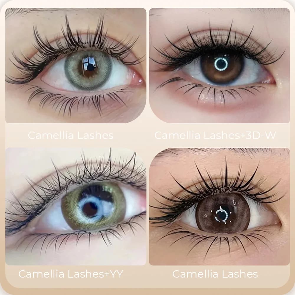 Extensiones de pestañas individuales Camellia Bloom con adhesivo